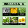 Viareline Rosemary Mint Leave-In Hair Care Spray Soft Shine Moisturizing Moisturizing Hair Care Spray